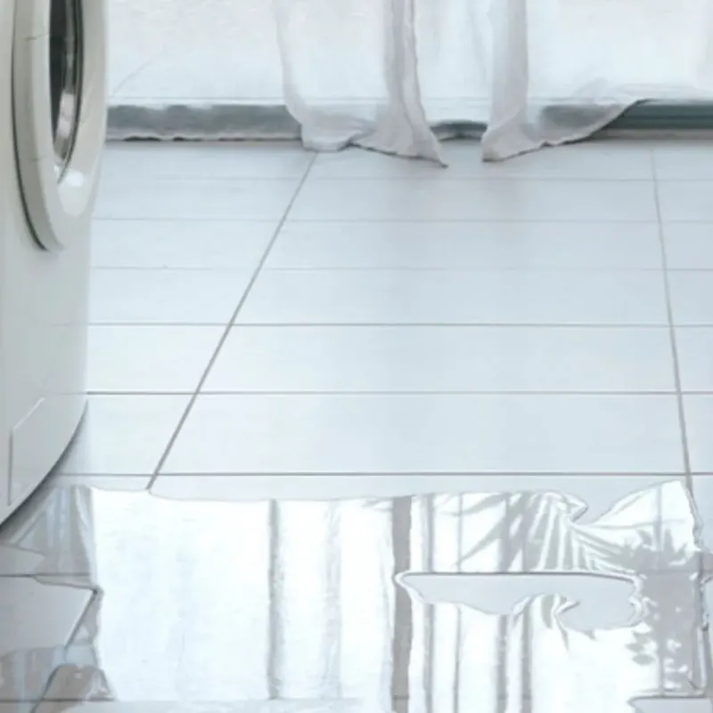 Appliance Leak Cleanup in Chickasaw County, IA