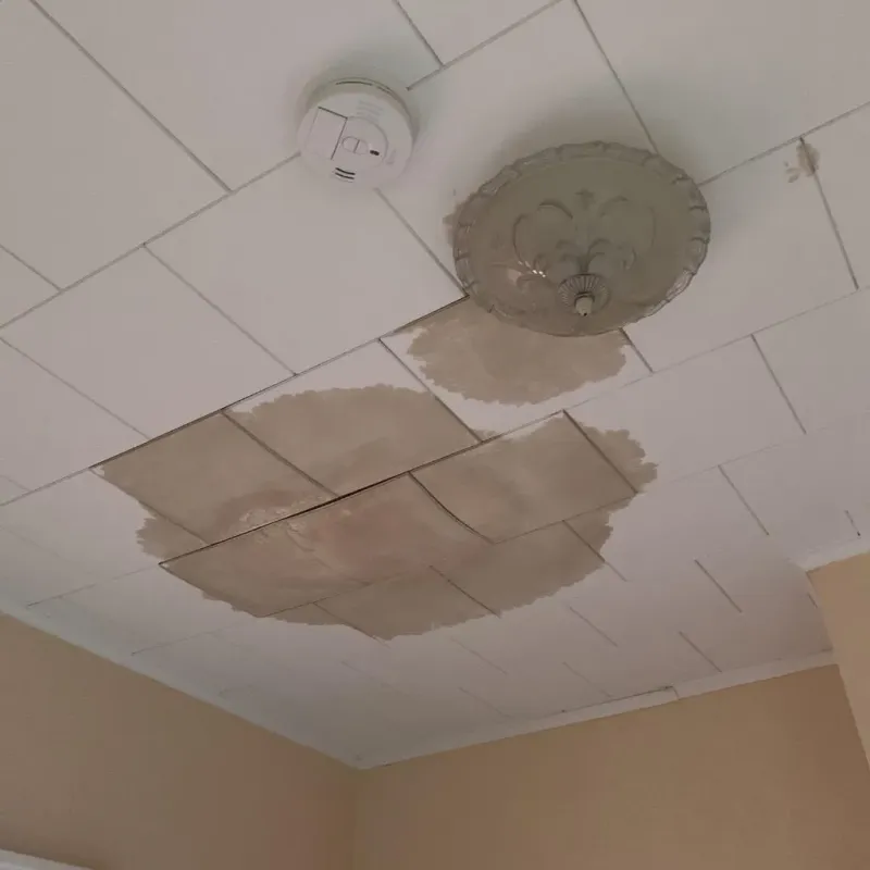 Ceiling Water Damage Repair in Chickasaw County, IA