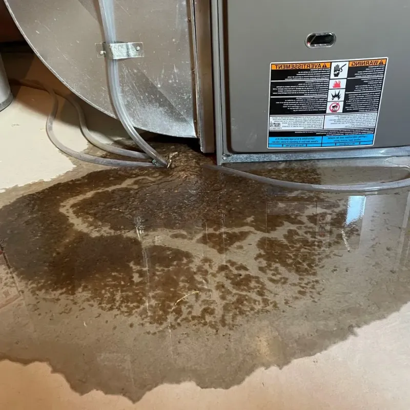 Pipe Burst and Leak Restoration in Chickasaw County, IA
