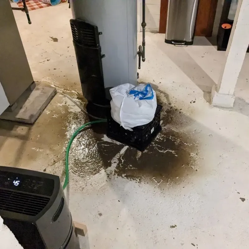 Sewage Backup Cleanup Service in Chickasaw County, IA